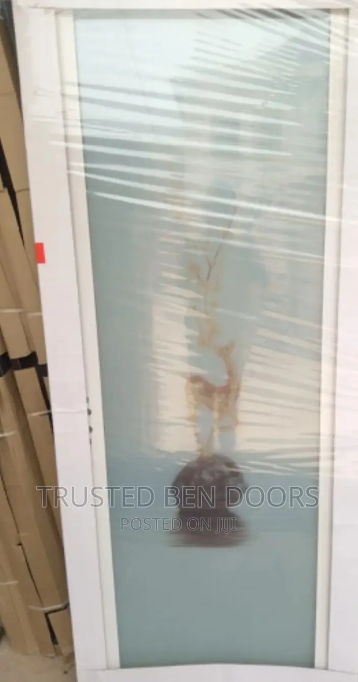 Paladin Glass Bathroom Doors With Designs