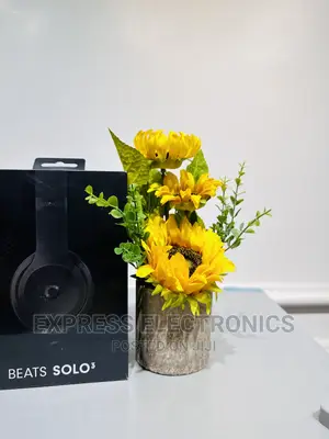 Awesome Sleek Beats Solo 3 Headphones