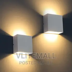 Vlite Outdoor/Indoor Wall Light