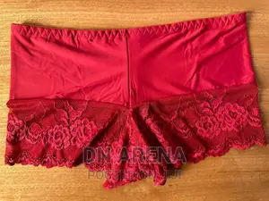 Seamless Boyshorts Ladies Panties for 12pcs