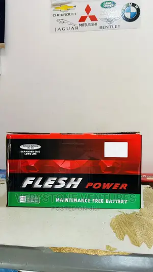 Flesh Power Battery - 19 Plate Battery
