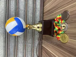 Original Volleyball Awards Trophy at Cool Price