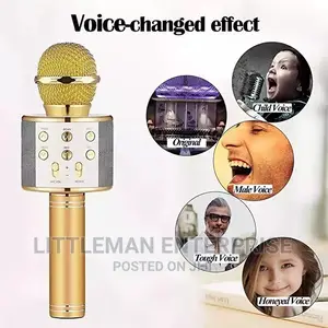 Handheld Karaoke Microphone