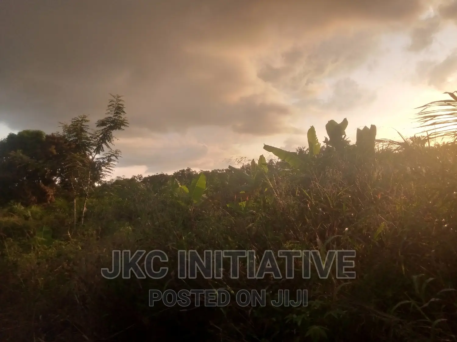 100 Acres Road Side Land For Sale At Busua