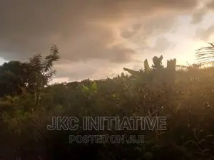 100 Acres Road Side Land For Sale At Busua