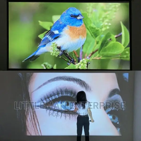 Powerful Projector Outdoor Android (7000lumens)