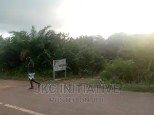 100 Acres Road Side Land For Sale At Busua
