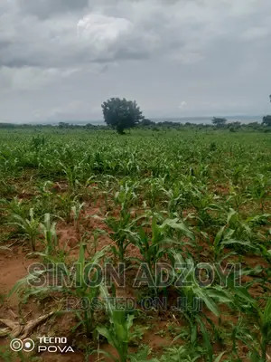 50,000 Acres of Farm Land for Login Lease