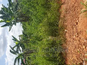 Plot for Sale at Santasi Ahema Kokoben Near Ploce Station