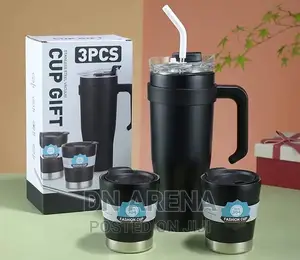 Stainless Steel Insulated Flask With 2 Cups and a Straw