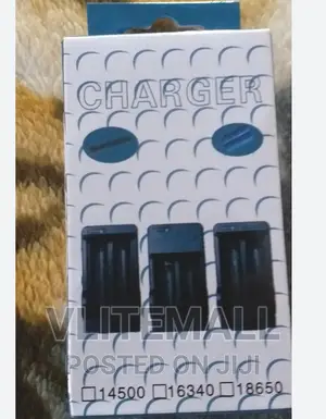 Direct Plug Battery Charger
