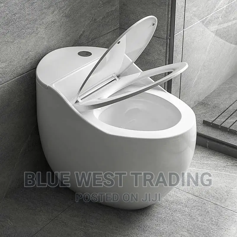 White Egg Shaped Water Closet