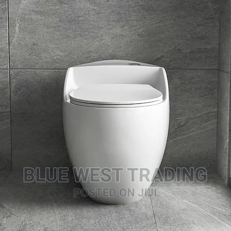 White Egg Shaped Water Closet