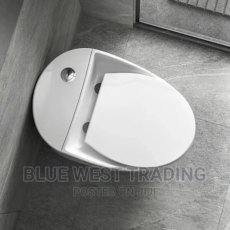 White Egg Shaped Water Closet
