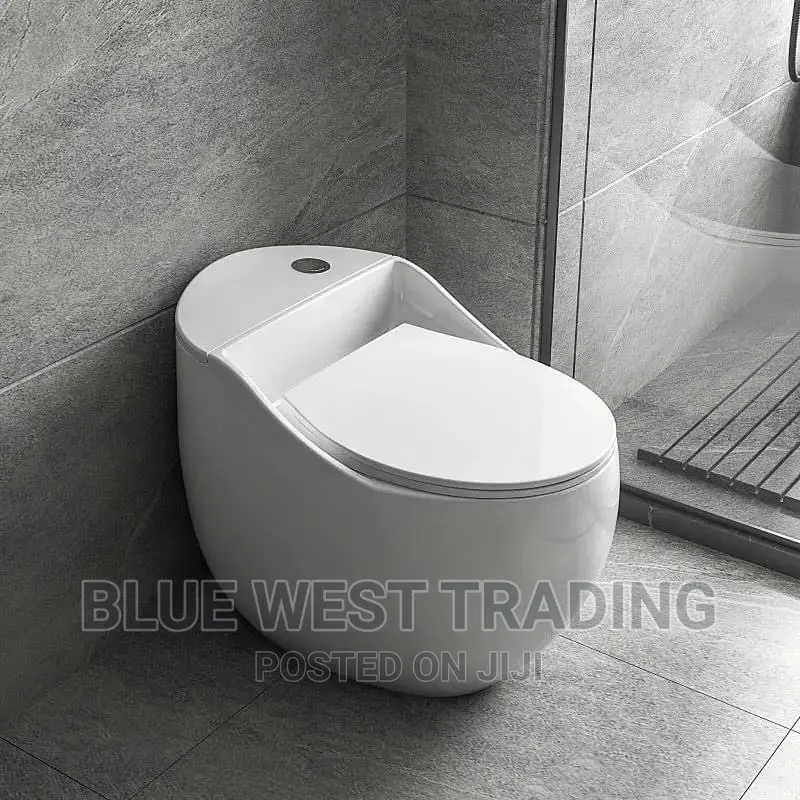 White Egg Shaped Water Closet