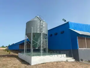 Modern Poultry Structure/House