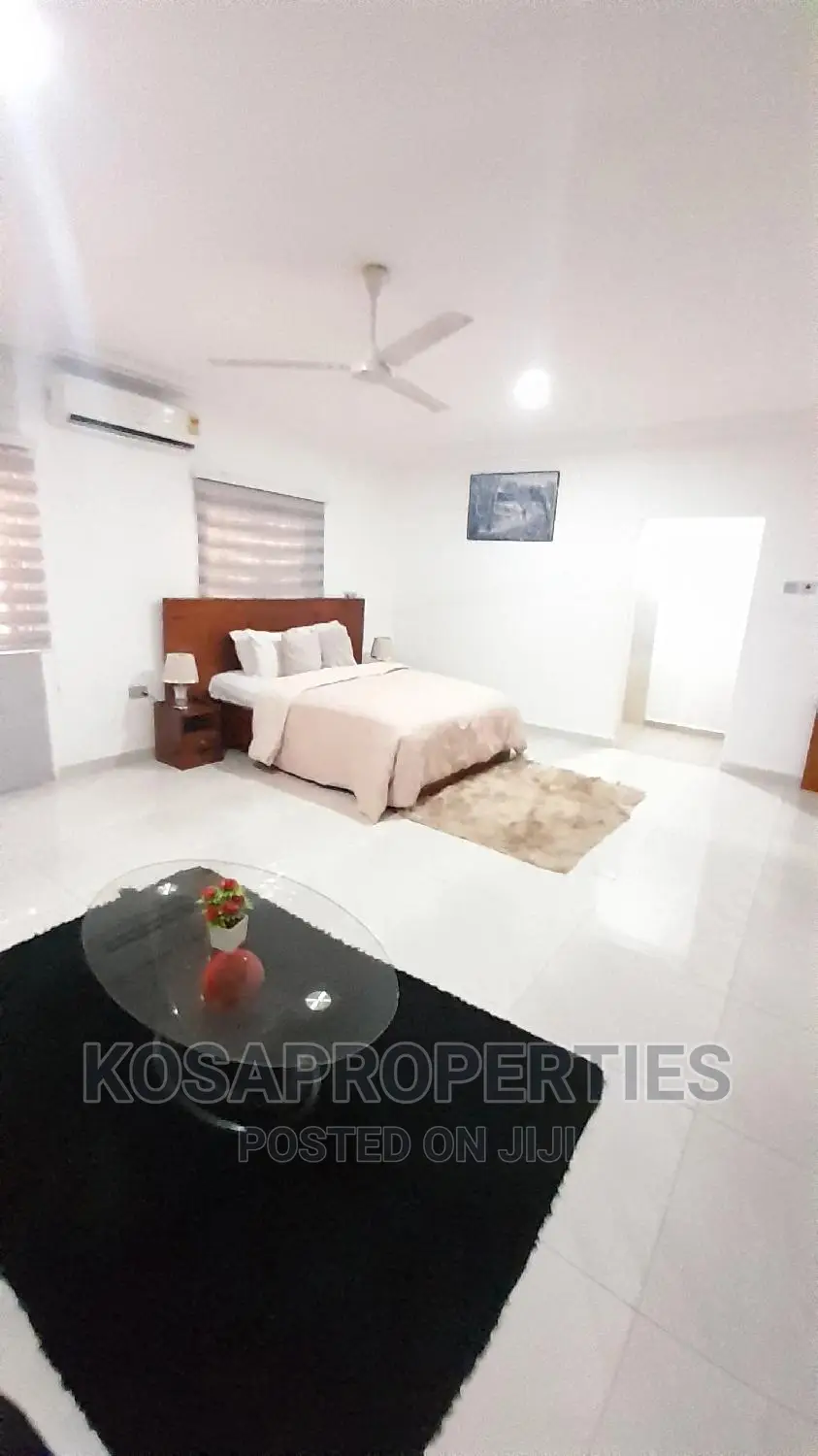 1bedroom Short Let at Adjiringanor Ability