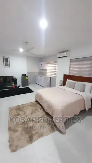 1bedroom Short Let at Adjiringanor Ability