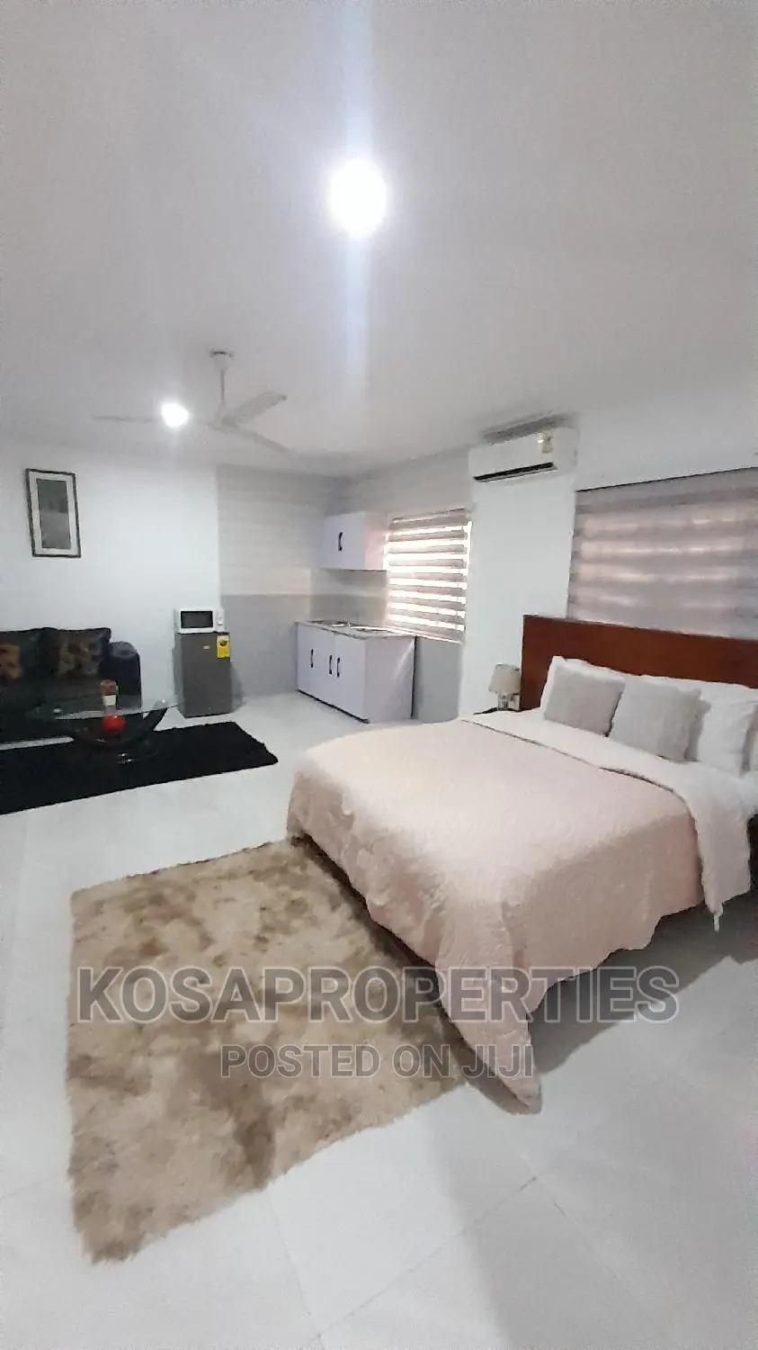 1bedroom Short Let at Adjiringanor Ability