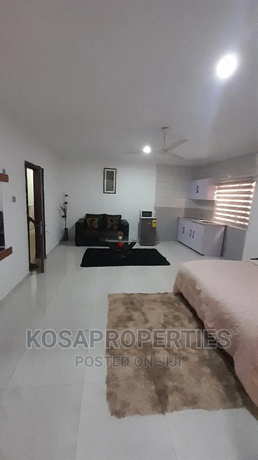 1bedroom Short Let at Adjiringanor Ability