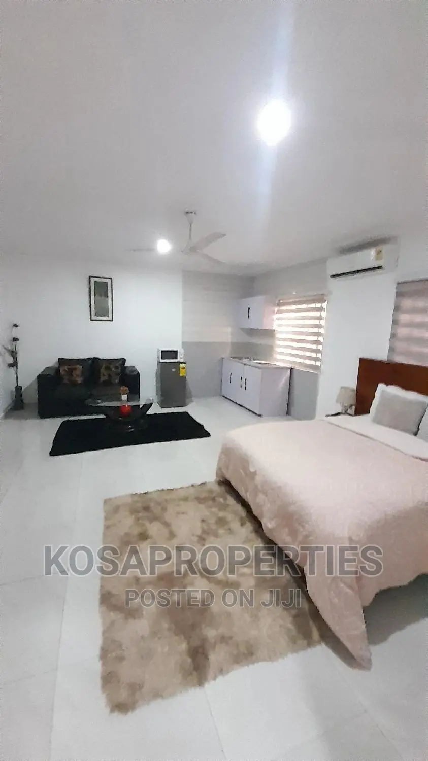1bedroom Short Let at Adjiringanor Ability