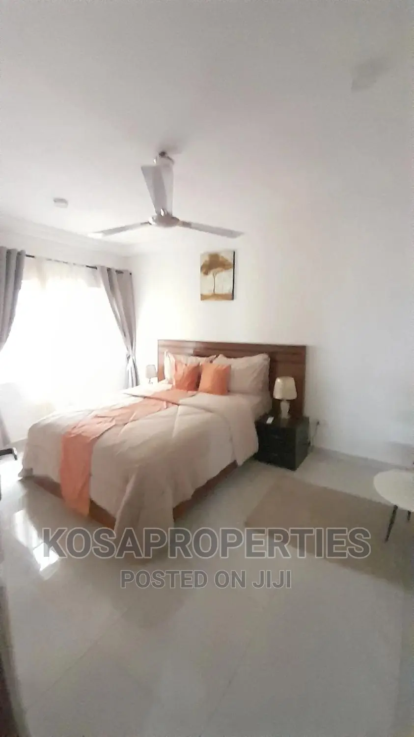 1bedroom Short Let at Adjiringanor Ability