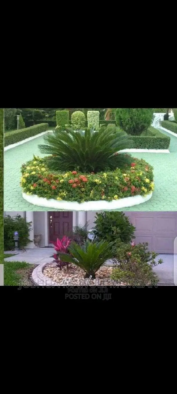Landscaping,Hedge Edge Trimming,Lawn Mowing Maintenance