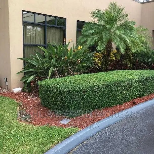 Landscaping,Hedge Edge Trimming,Lawn Mowing Maintenance