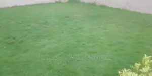 Landscaping,Hedge Edge Trimming,Lawn Mowing Maintenance