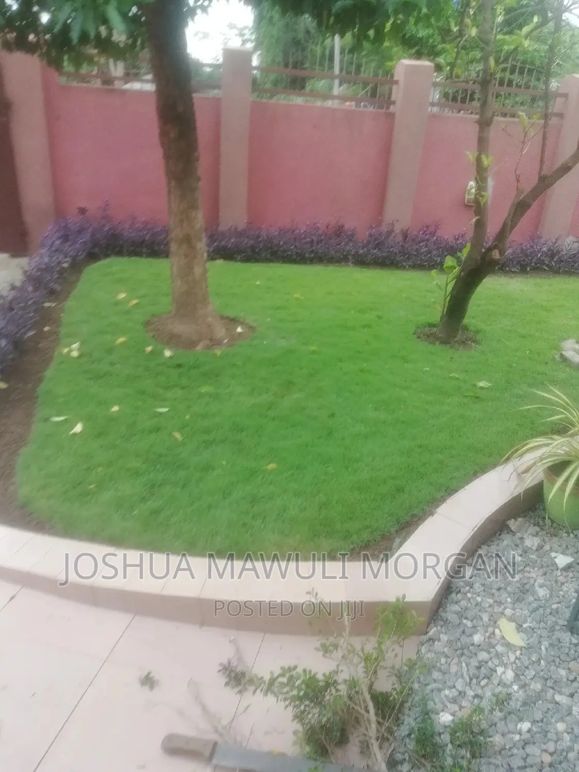 Landscaping,Hedge Edge Trimming,Lawn Mowing Maintenance