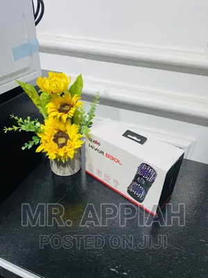 Quality Yet Affordable Audiio Hivolt 220 Bluetooth Speaker.