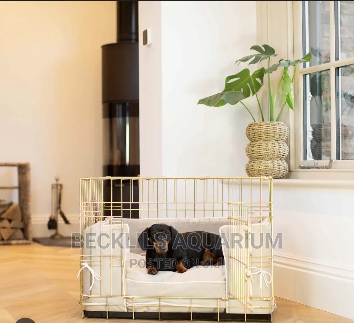 24 Inches Quality Metallic Indoor Dog Cages