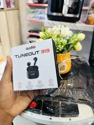 Call and Order for Audiio Tuneout 313—