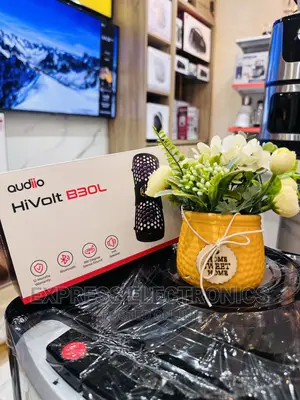 Get a New Audiio Hivolt B30L Speaker