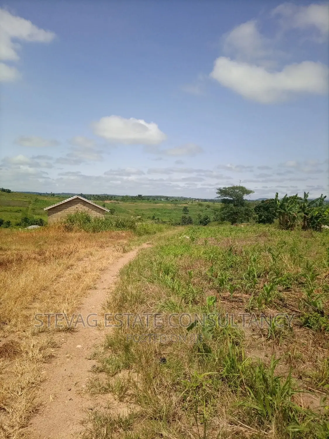 Alpha Properties Land for Sale at Nsawam Ayibontey