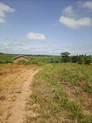 Alpha Properties Land for Sale at Nsawam Ayibontey
