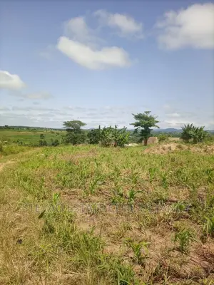 Alpha Properties Land for Sale at Nsawam Ayibontey