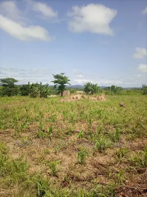 Alpha Properties Land for Sale at Nsawam Ayibontey