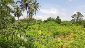 Mankessim Farm Lands for Sale