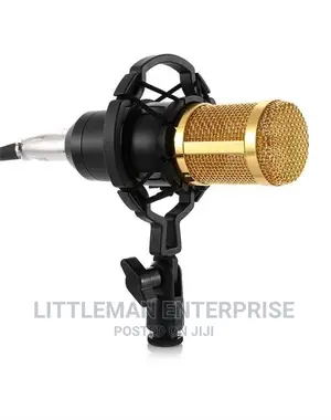 Studio Radio Professional Condenser Microphone