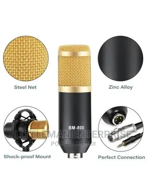 Studio Radio Professional Condenser Microphone