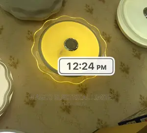 Bluetooth Ceiling Light