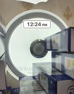 Bluetooth Ceiling Light