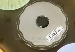 Bluetooth Ceiling Light