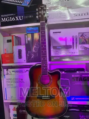 Happy Semi-Acoustic Guitar