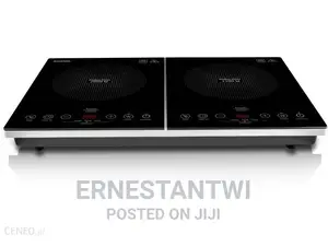 Two Burner Induction Cooker From Domo, Germany