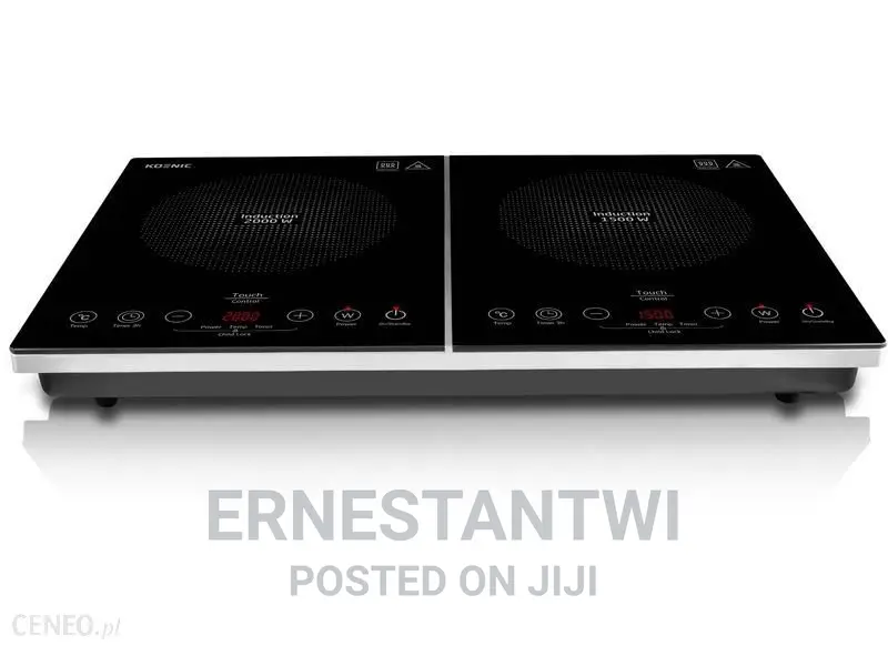 Two Burner Induction Cooker From Domo, Germany