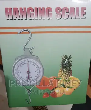 Hanging Scale