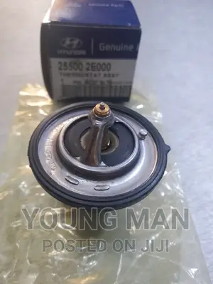 Hyundai Elantra, Sonata, Santafe, Kia Rio Engine Thermostat
