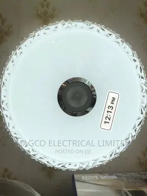 Remote Bluetooth Speaker Ceiling Light